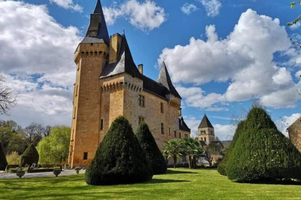 Château pour 12 Personnes dans Saint-Léon-sur-Vézère, Périgord Noir