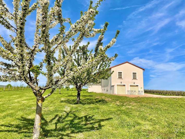 Location de vacances pour 8 personnes, avec jardin et vue à Lugny - 3