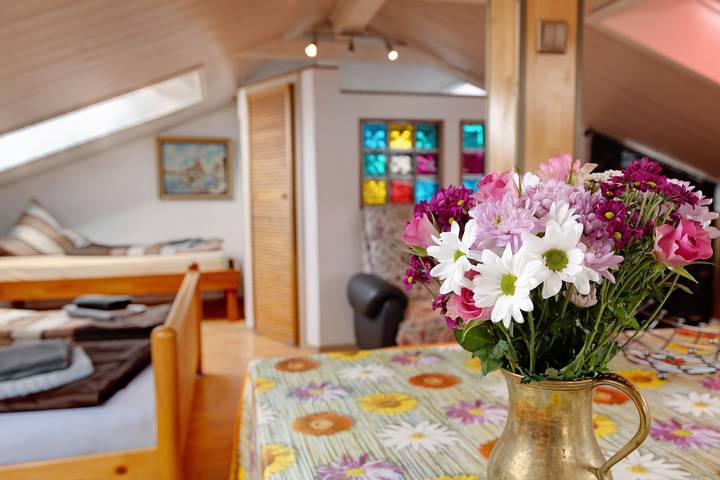 Ganze Wohnung, Ferienwohnung 'Haus Schwanenweg' mit Blick auf den See und Wlan in Konstanz, Obersee (Bodensee)