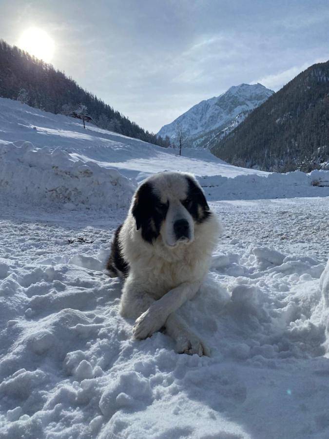 Gîte pour 2 personnes, avec vue ainsi que jardin et balcon à Marmora - 3