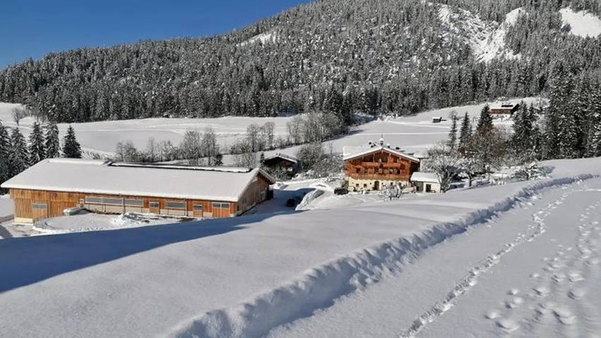 Ferienwohnung für 5 Personen, mit Garten in Maria Alm - 4