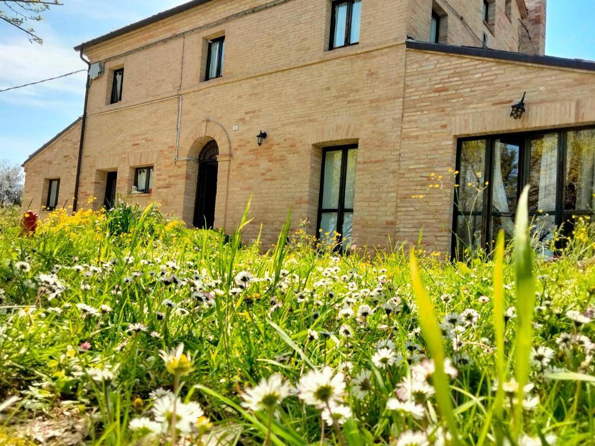 Agriturismo Campo Aperto in Belvedere Ostrense, Ancona Provinz