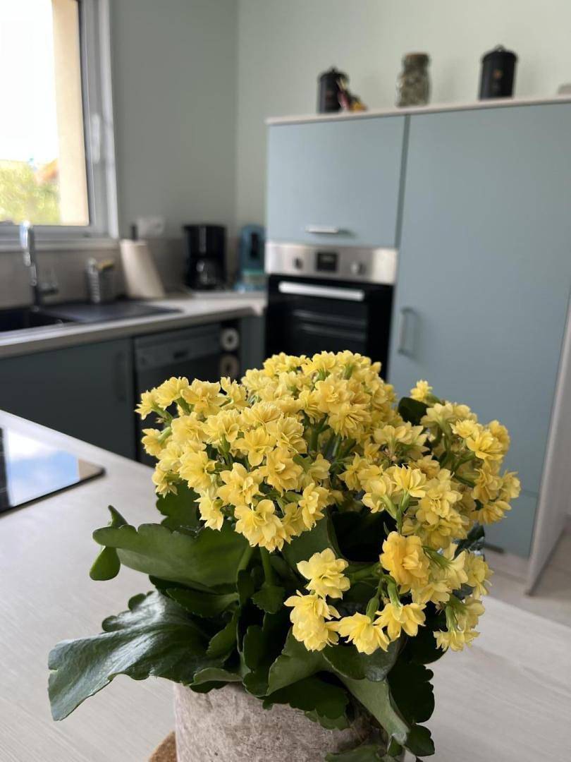 Le Gîte des 2 Falaises in Eu, Région de Dieppe