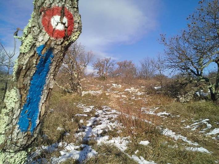 Ferienhaus für 3 Personen, mit Ausblick und Garten sowie Sauna, mit Haustier in Koper - 2
