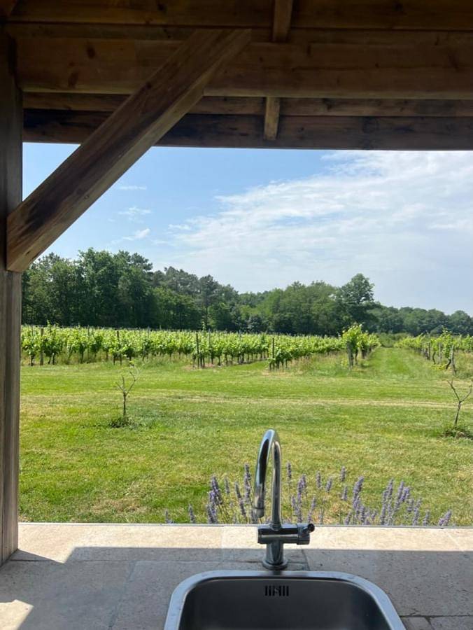 Location de vacances pour 4 personnes, avec terrasse à Massugas - 3