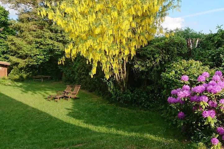 Ferienhaus für 2 Personen, mit Pool und Garten in Blankenheim - 4