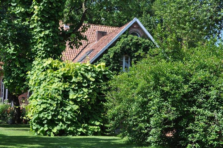 Ferienhaus für 2 Personen, mit Terrasse und Garten sowie Ausblick in Bergen (Niedersachsen)