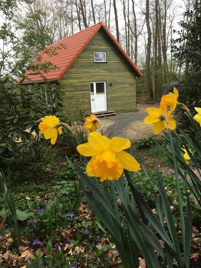 Ferienhaus für 2 Personen, mit Terrasse und Garten sowie Sauna und Ausblick in Worpswede