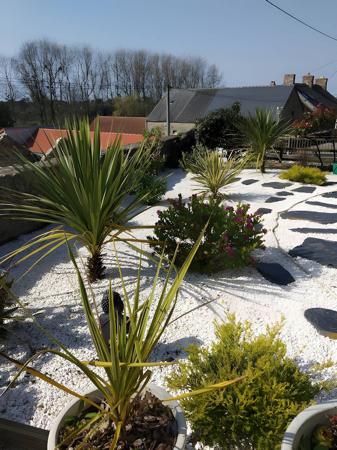Chambre d’hôtes « Chambre Chinoise » avec terrasse partagée, jardin partagé et Wi-Fi in Surtainville, Côte de la Déroute