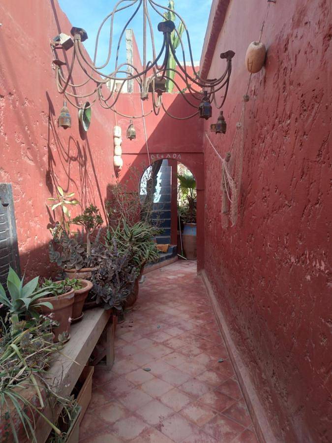 Maison d’hôte pour 2 personnes, avec jardin dans Mirhleft - 3