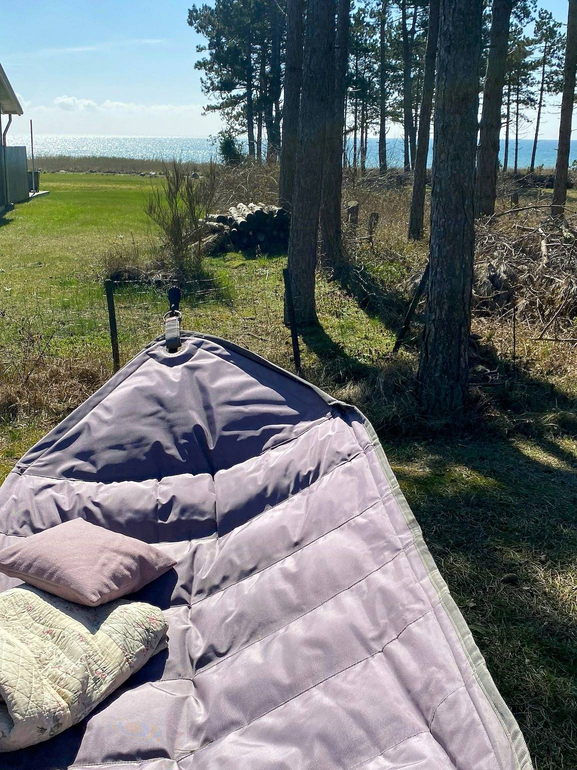 Ferienhaus mit Meerblick am Strand von Begtrupvig in Begtrup, Knebel