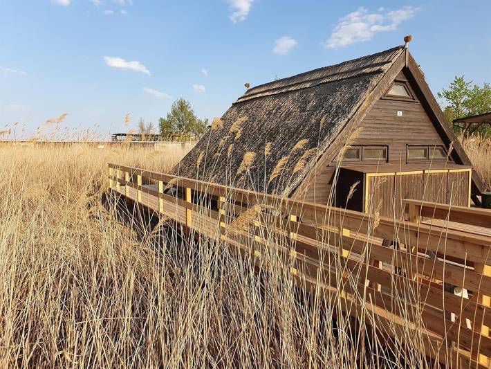 Ferienhaus für 6 Personen, mit Seeblick und Terrasse, mit Haustier am Neusiedler See - 2