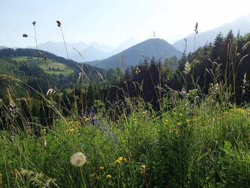 Bauernhof für 3 Personen in Vorderstoder, Steyr-Kirchdorf, Bild 3