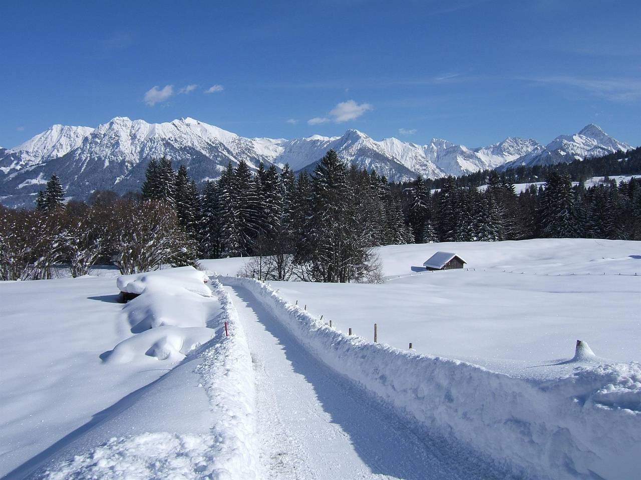 Entire holiday apartment, Ferienwohnung Friederich in Fischen, Bavarian Swabia