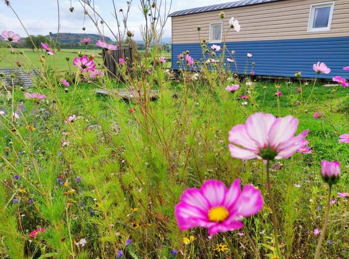 Gîte pour 4 personnes, avec jardin, animaux acceptés à Rochefort-Montagne