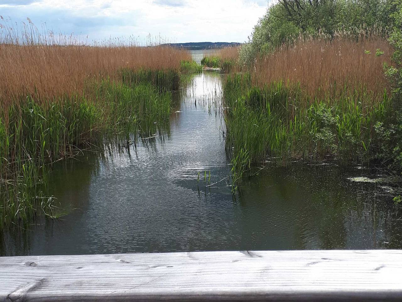 Design Ferienhaus Nienrausch mit 2 Apartments - Design Ferienhaus nienrausch mit 2 Apartments in Niendorf, Timmendorfer Strand