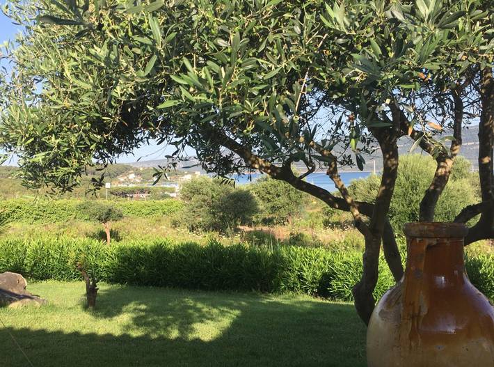 B&B für 2 Personen, mit Garten auf Sardinien - 4