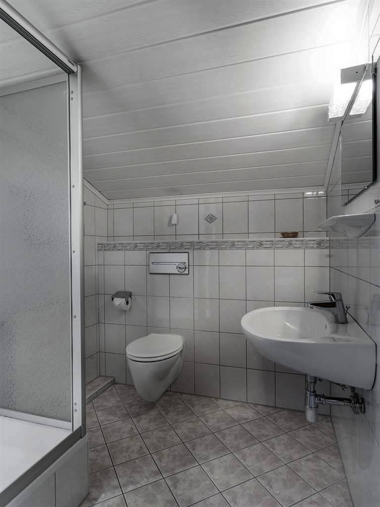 Ganze Ferienwohnung, App."Anderl" 3Schlafr./2Bäder/Wc/Balkon,5-8P. in Dorfgastein, Ski Amadé