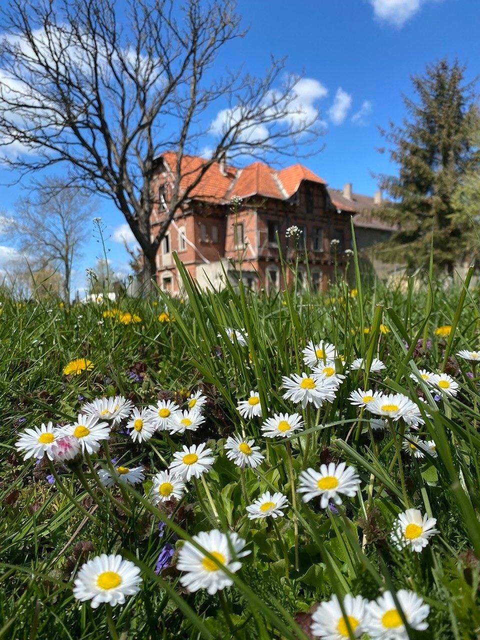 Ganze Ferienwohnung, Gutsherrenwohnung in Süderholz, Vorpommern