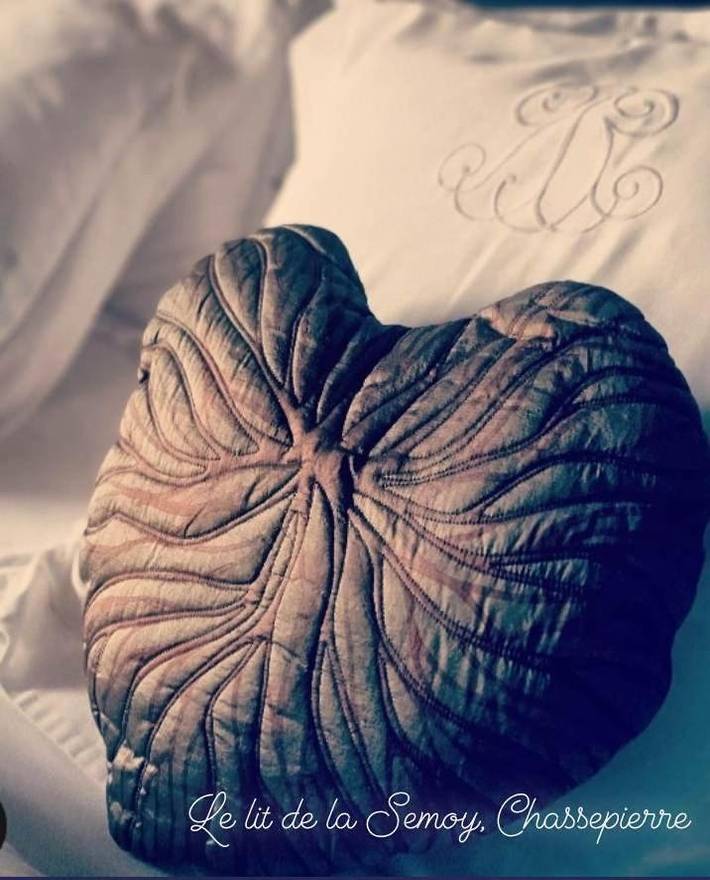 Chambre d’hôte pour 2 personnes, avec jardin et terrasse à Florenville - 2