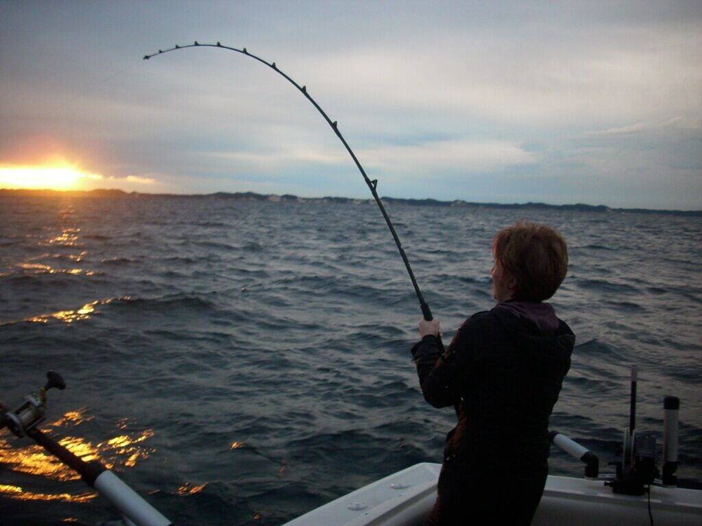 Privater Lake Michigan Beach, charmantes Cottage mit herrlichem Blick! in Macatawa, Michigansee