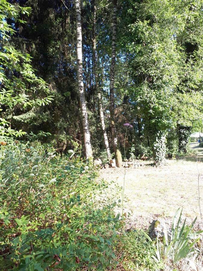 Appartement entier, Apartment with Garden View in Saint-Junien, Région de Rochechouart