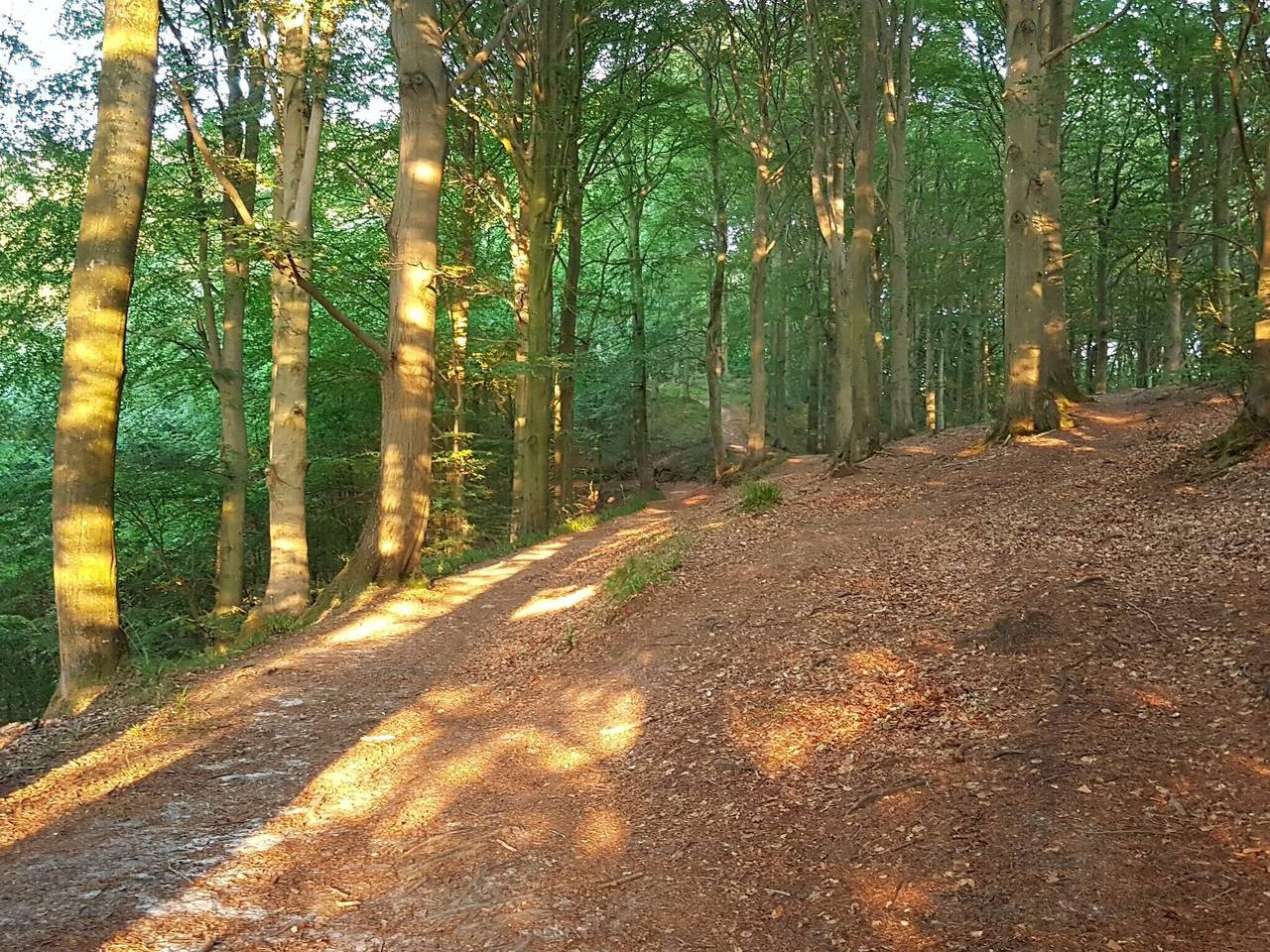 Gezellig toevluchtsoord nabij strand -- By Traum Ferienwohnungen in Andkær, Børkop