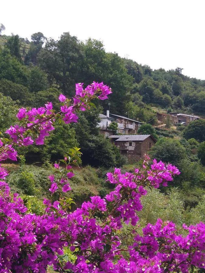 Casa rural para 5 personas, con vistas y jardín en Pantón