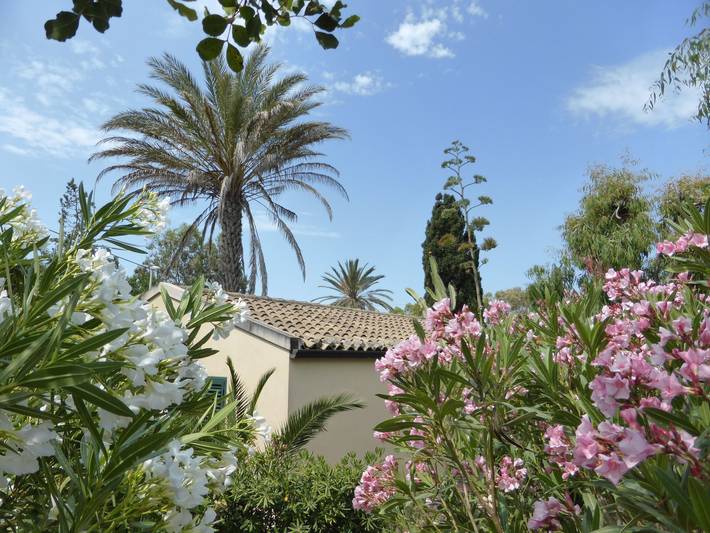 Bungalow per 4 persone, con Terrazza e Giardino in 