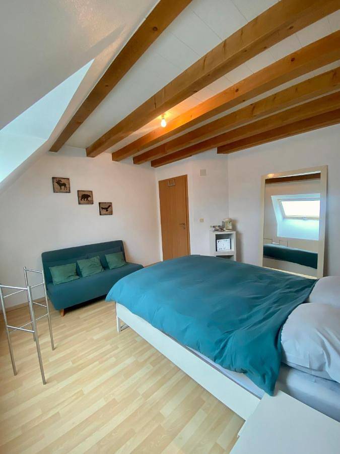Appartement de vacances entier, Double Room with Private Bathroom in Gougenheim, Région de Strasbourg