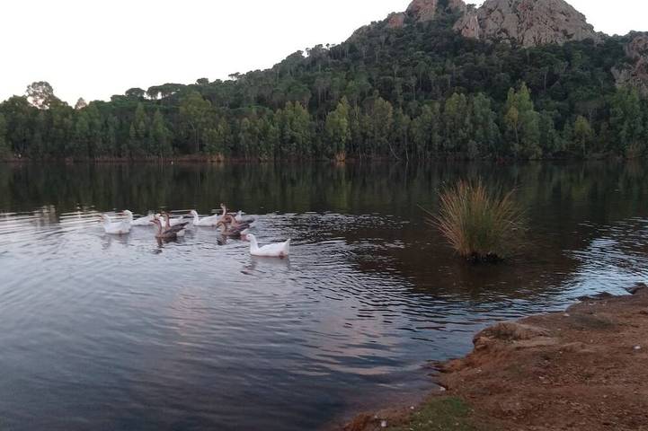 Maison de vacances pour 12 personnes, avec jardin ainsi que piscine et terrasse, animaux acceptés - 1