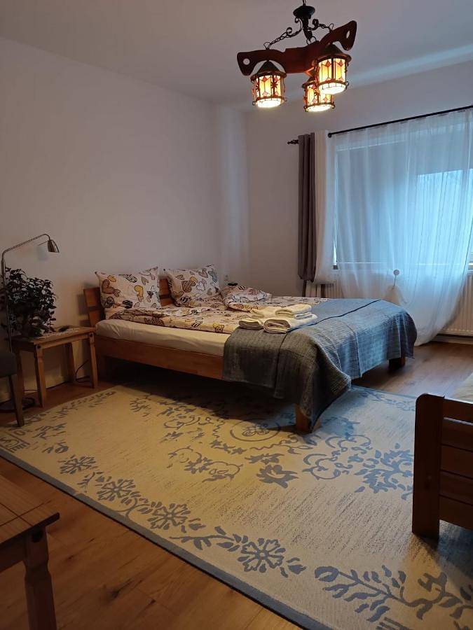 Maison d’hôte pour 2 personnes, avec vue et jardin dans Porumbacu de Sus