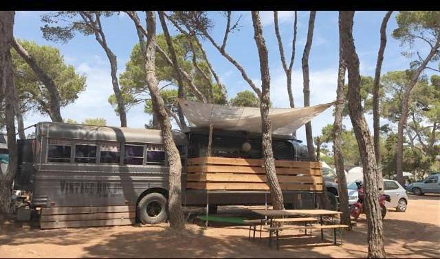 Bungalow für 4 Personen, mit Ausblick und Garten auf Ibiza - 3