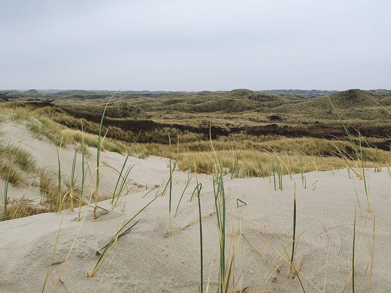 Luxus-Oase in Blavand in Blavand, Varde