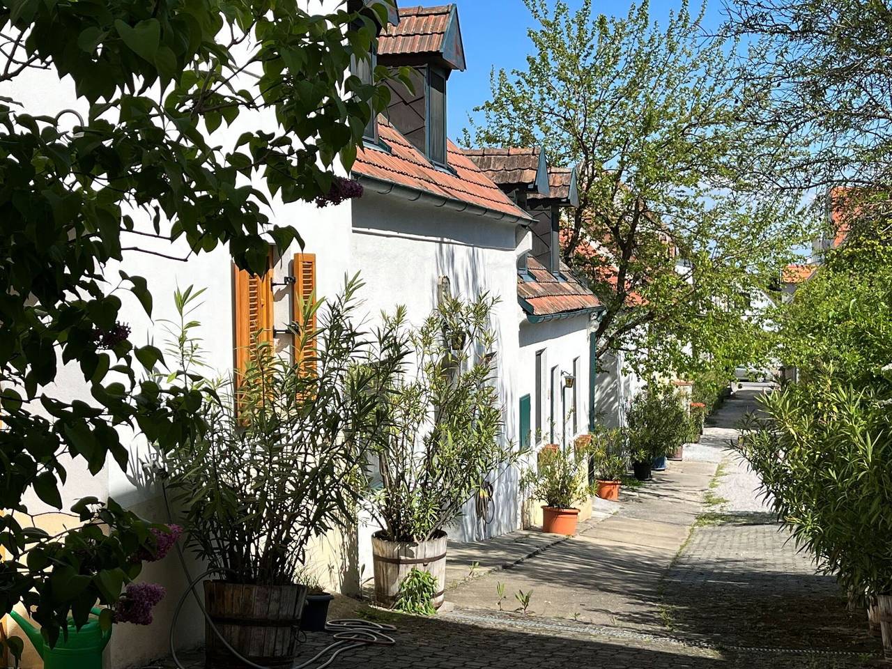 Ganze Wohnung, Mörbisch am See 603 - Hofgasse 603.3 in Mörbisch am See, Leithaberg
