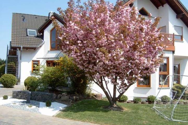 Ferienwohnung für 4 Personen, mit Garten - 1