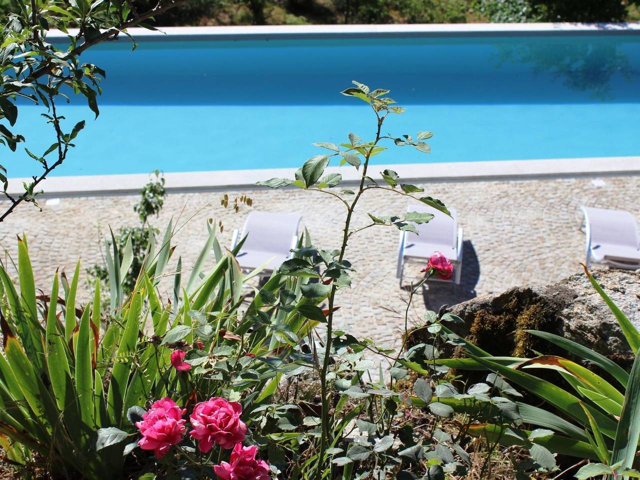 Finca mit Terrasse in Tonda, Viseu Distrikt