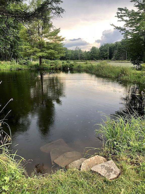 Rustikale Seeufer auf 31 Hektar auf seinem eigenen See, Free Kayaks & Kanus, in Lake Wallenpaupack
