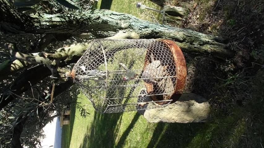 Location de vacances pour 2 personnes, avec jardin et piscine à Eyguières - 3