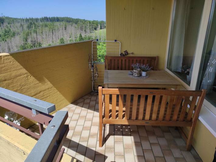 Ferienwohnung für 4 Personen, mit Sauna und Balkon, kinderfreundlich in Hohegeiß