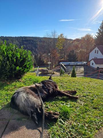 Ferienwohnung für 4 Personen in Schönwald im Schwarzwald, Hochschwarzwald, Bild 1