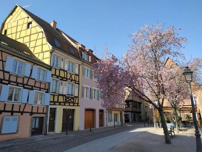 Ferienhaus für 7 Personen, mit Ausblick, mit Haustier in Colmar - 3
