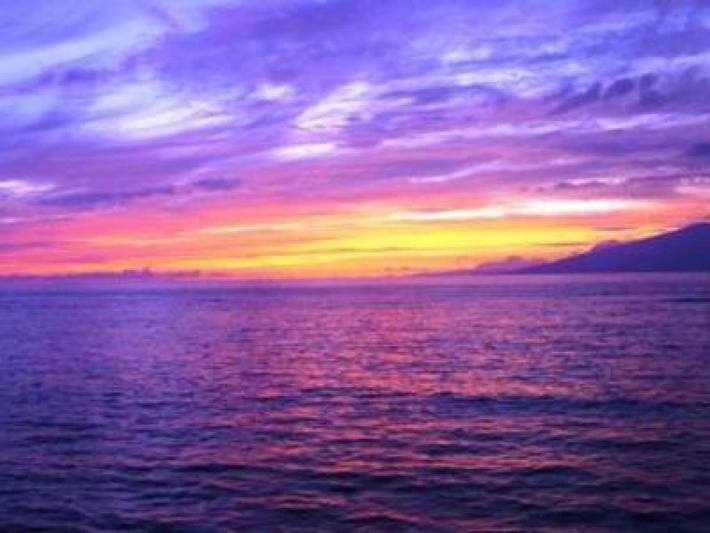 Chambre d’hôte pour 2 personnes, avec vue et jardin dans États-Unis - 3