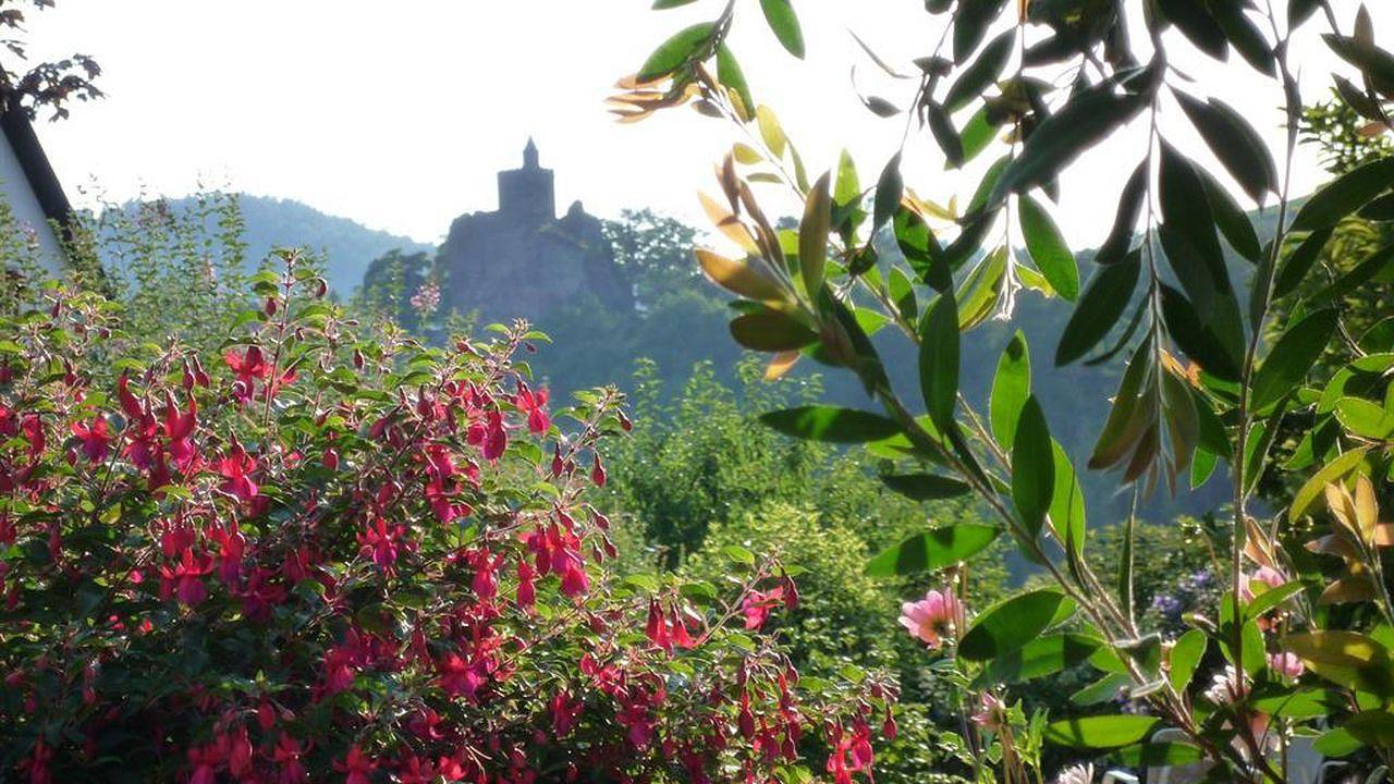 Geheel vakantieappartement, Vakantieappartement voor 3 personen met tuin in Saarburg, Mosel-Saar