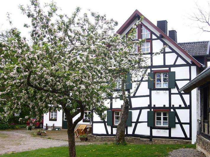 Ferienhaus für 5 Personen, mit Garten in Hellenthal - 2