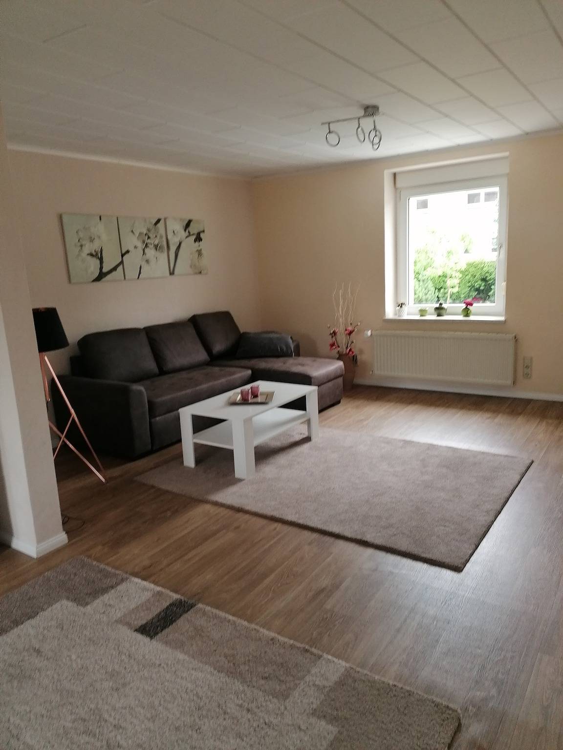 Ganze Wohnung, Morderne Ferienwohnung Hohenzieritz in Hohenzieritz, Mecklenburg-Strelitz