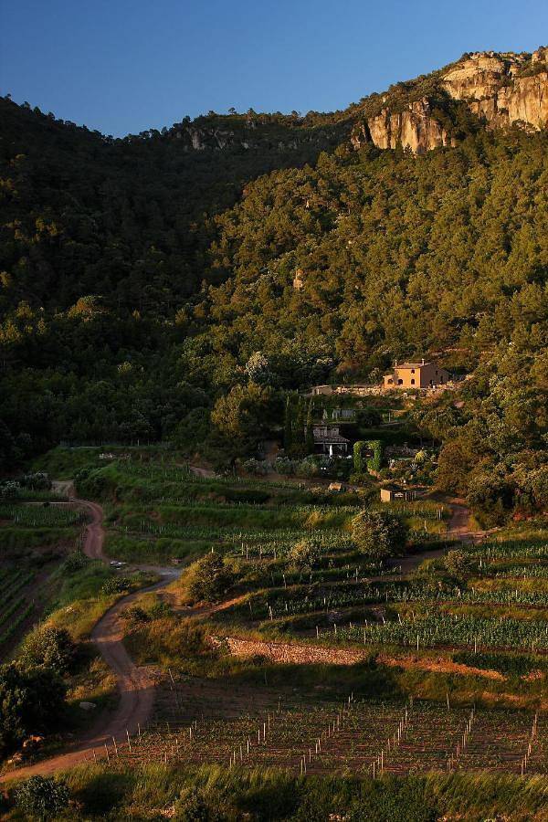 Casa rural para 8 personas, con jardín y piscina, Se admiten mascotas en Priorat - 3