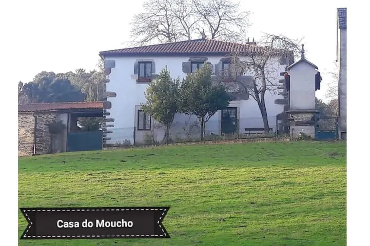 Gîte pour 12 personnes, avec jacuzzi et jardin ainsi que terrasse et piscine, animaux acceptés - 1