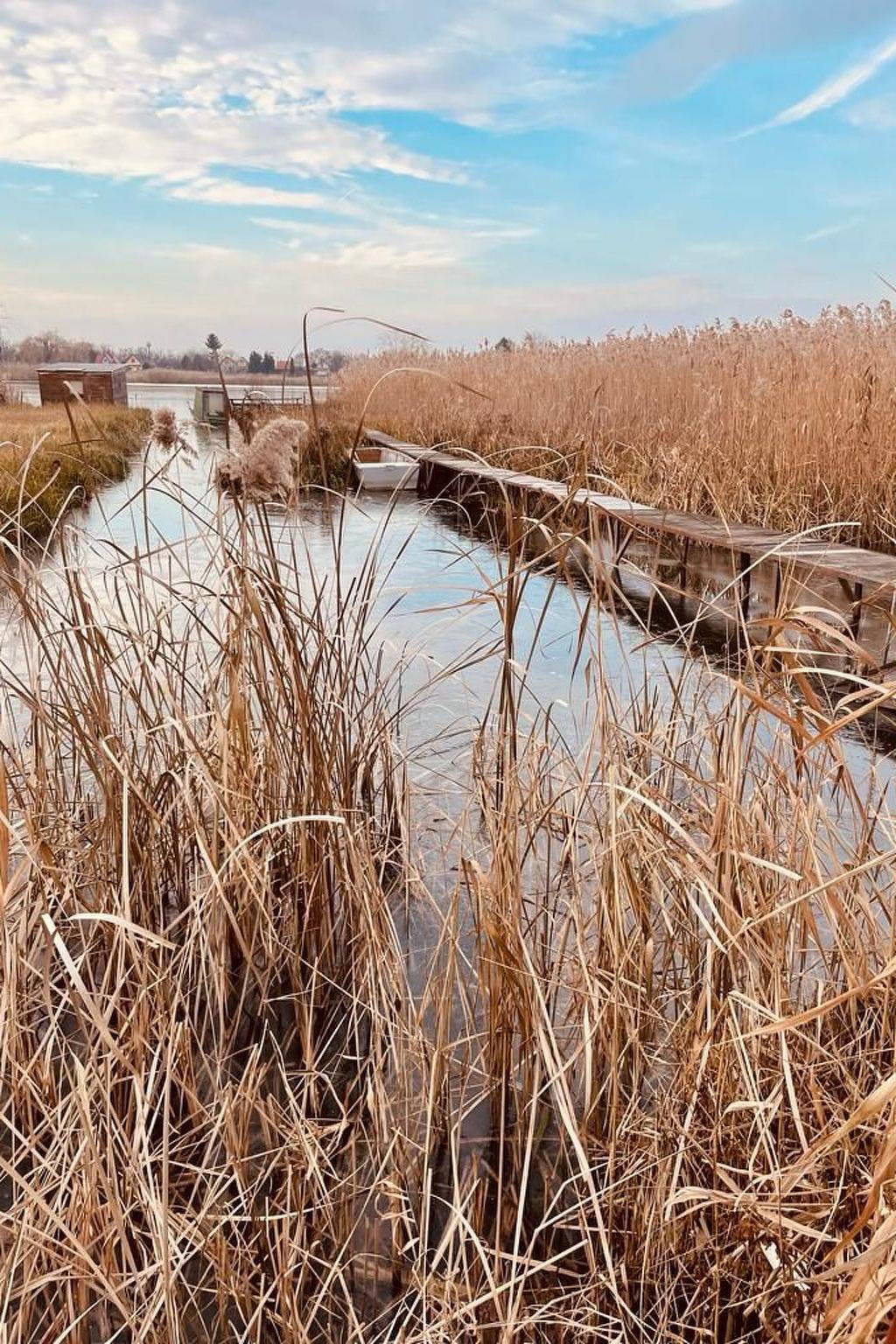 Majoshaza 20 min von Budapest direkt an der Donau in Szigetszentmiklósi járás