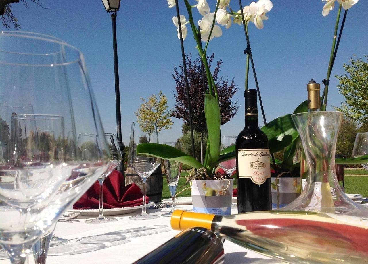 Finca El Encinar in Pedro Muñoz, Provincia de Ciudad Real